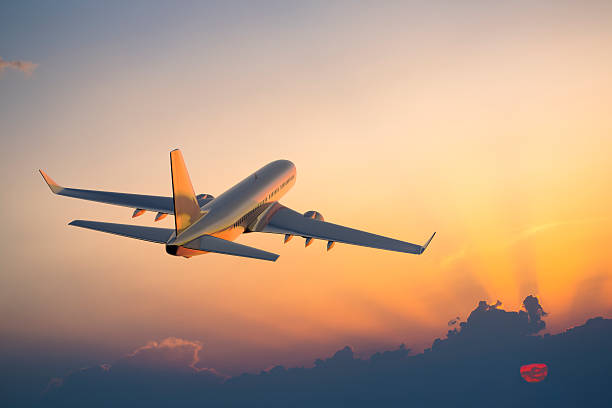 Travel Servicio